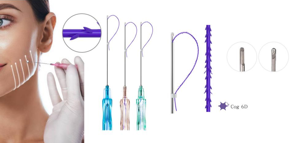 PDO Thread Lift 2026 : Le guide ultime du lifting non chirurgical pour les praticiens